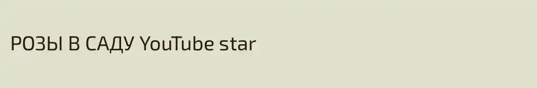 РОЗЫ В САДУ YouTube star
